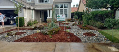 Drought tolerant landscaping after