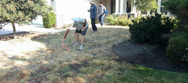Drought tolerant landscaping before