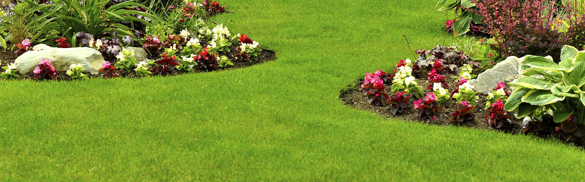 Lawn Maintenance
